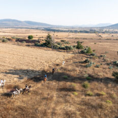 El Rancho Ride, Mexico - Globetrotting horse riding holidays