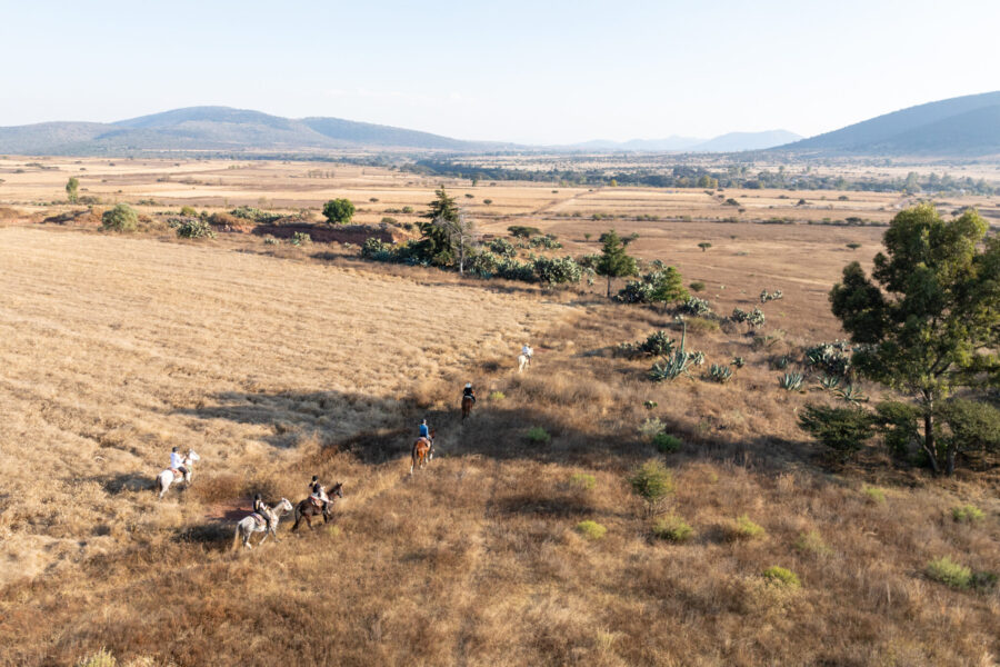 El Rancho Ride, Mexico - Globetrotting horse riding holidays
