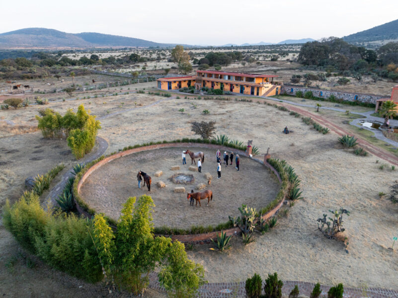 El Rancho Ride, Mexico - Globetrotting horse riding holidays