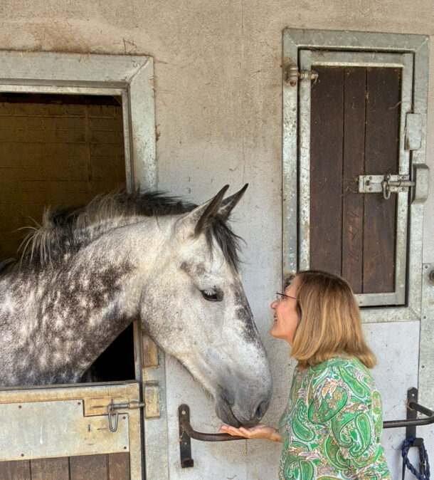 Castle & Estate Ride, Ireland, Globetrotting Horse Riding Holidays