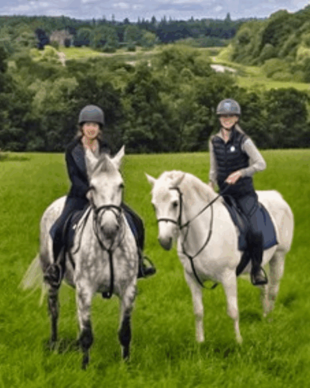 Castle & Estate Ride, Ireland, Globetrotting Horse Riding Holidays