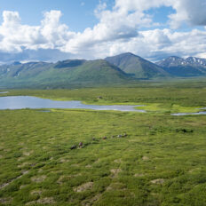Alaska, USA - Globetrotting horse riding holidays