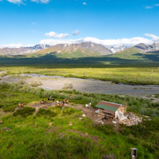 Alaska, USA - Globetrotting horse riding holidays
