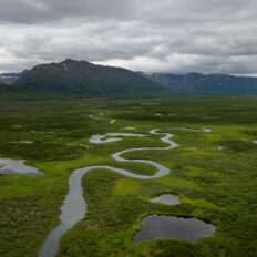Alaska, USA - Globetrotting horse riding holidays