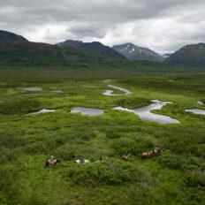 Alaska, USA - Globetrotting horse riding holidays