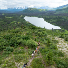 Alaska, USA - Globetrotting horse riding holidays