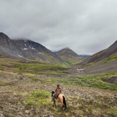 Alaska, USA - Globetrotting horse riding holidays