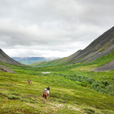 Alaska, USA - Globetrotting horse riding holidays