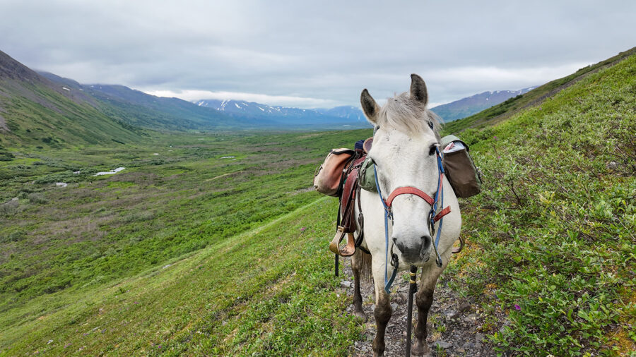Alaska, USA - Globetrotting horse riding holidays