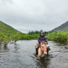 Alaska, USA - Globetrotting horse riding holidays