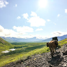 Alaska, USA - Globetrotting horse riding holidays