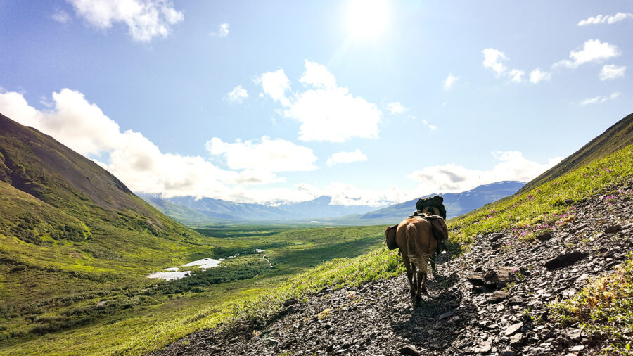 Alaska, USA - Globetrotting horse riding holidays