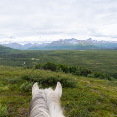 Alaska, USA - Globetrotting horse riding holidays