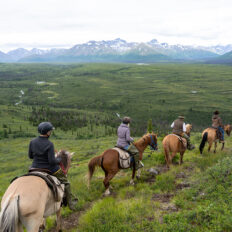 Alaska, USA - Globetrotting horse riding holidays