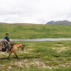Alaska, USA - Globetrotting horse riding holidays