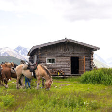 Alaska, USA - Globetrotting horse riding holidays