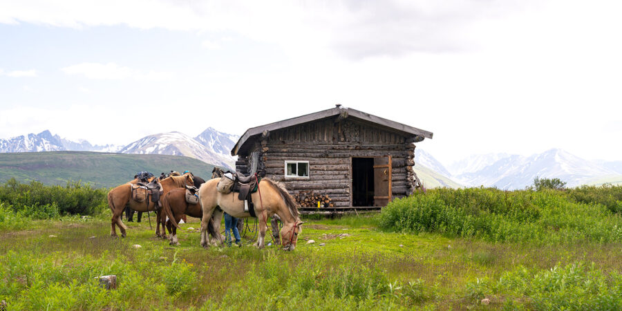Alaska, USA - Globetrotting horse riding holidays