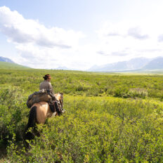 Alaska, USA - Globetrotting horse riding holidays
