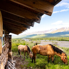 Alaska, USA - Globetrotting horse riding holidays