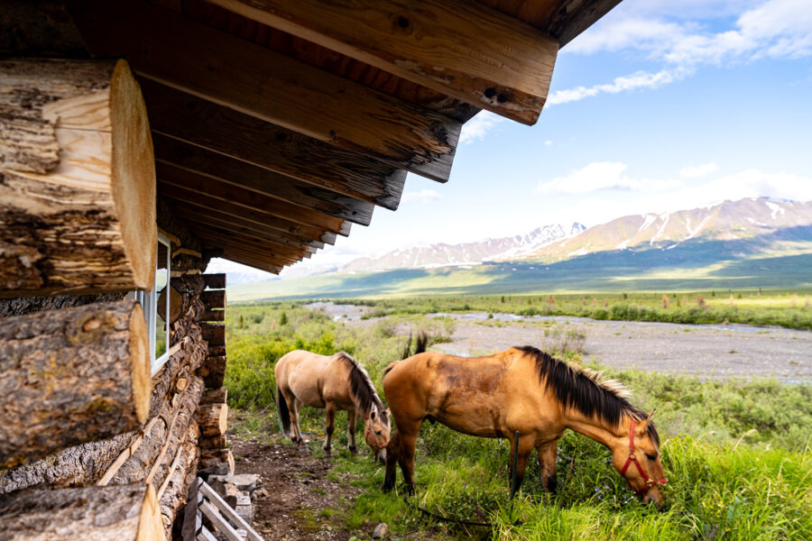 Alaska, USA - Globetrotting horse riding holidays