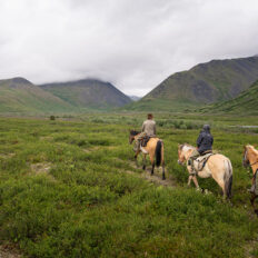 Alaska, USA - Globetrotting horse riding holidays