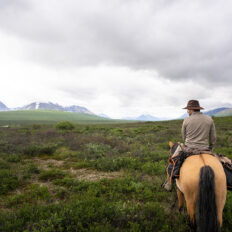 Alaska, USA - Globetrotting horse riding holidays