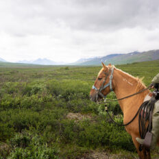Alaska, USA - Globetrotting horse riding holidays