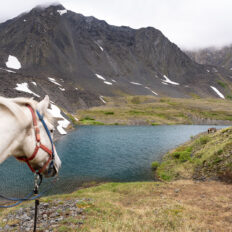 Alaska, USA - Globetrotting horse riding holidays