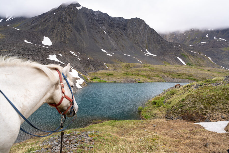 Alaska, USA - Globetrotting horse riding holidays