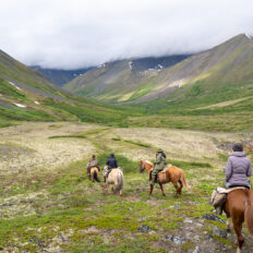 Alaska, USA - Globetrotting horse riding holidays