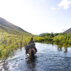 Alaska, USA - Globetrotting horse riding holidays