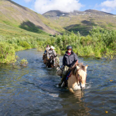 Alaska, USA - Globetrotting horse riding holidays