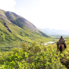 Alaska, USA - Globetrotting horse riding holidays