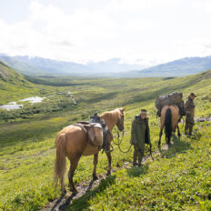 Alaska, USA - Globetrotting horse riding holidays