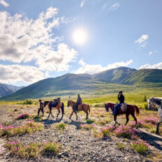 Alaska, USA - Globetrotting horse riding holidays