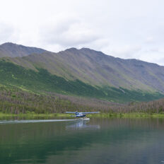Alaska, USA - Globetrotting horse riding holidays