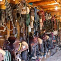 Alaska, USA - Globetrotting horse riding holidays