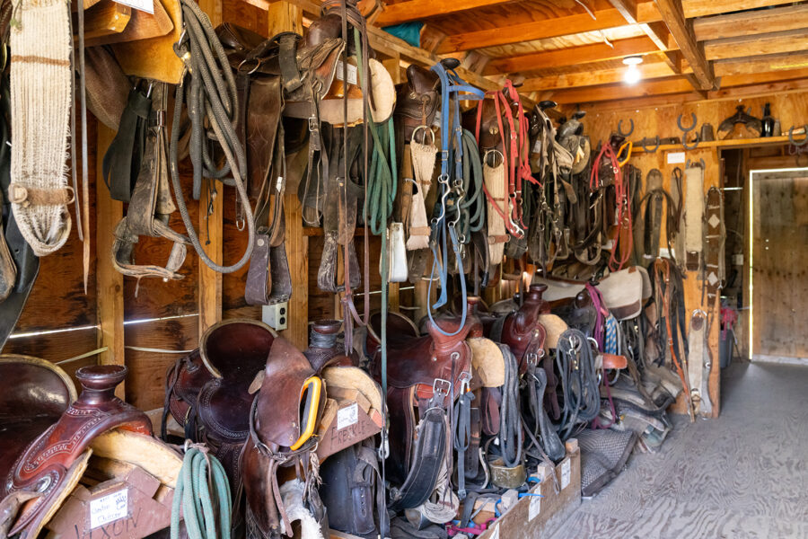 Alaska, USA - Globetrotting horse riding holidays