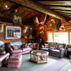 Alaska, USA - Globetrotting horse riding holidays