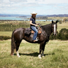 Twin Coast Escape, New Zealand - Globetrotting horse riding holidays