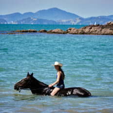 Twin Coast Escape, New Zealand - Globetrotting horse riding holidays