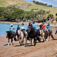 Twin Coast Escape, New Zealand - Globetrotting horse riding holidays