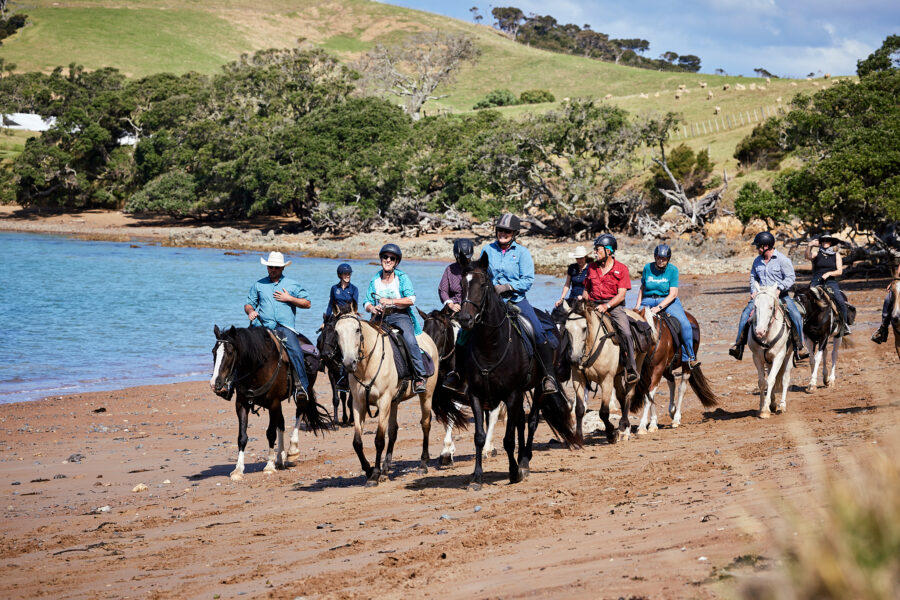 Twin Coast Escape, New Zealand - Globetrotting horse riding holidays