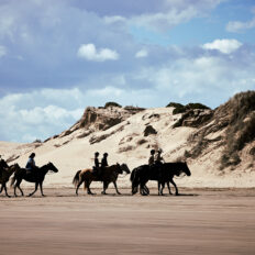 Twin Coast Escape, New Zealand - Globetrotting horse riding holidays
