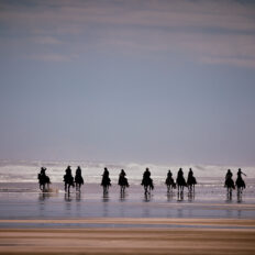 Twin Coast Escape, New Zealand - Globetrotting horse riding holidays