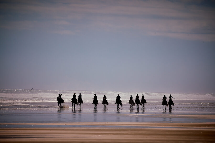 Twin Coast Escape, New Zealand - Globetrotting horse riding holidays