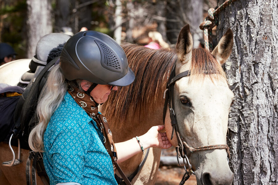 Twin Coast Escape, New Zealand - Globetrotting horse riding holidays