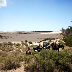 Twin Coast Escape, New Zealand - Globetrotting horse riding holidays