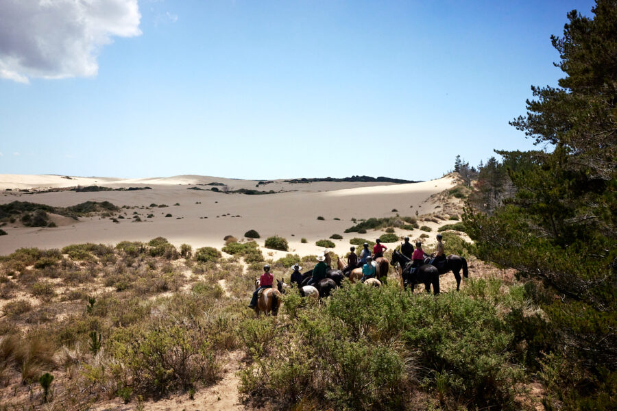 Twin Coast Escape, New Zealand - Globetrotting horse riding holidays