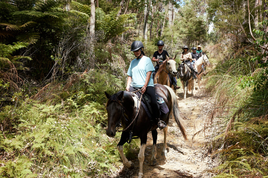 Twin Coast Escape, New Zealand - Globetrotting horse riding holidays